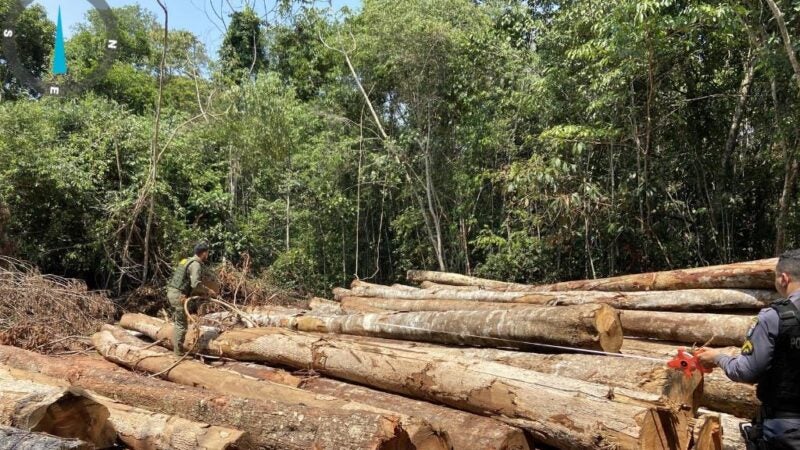 Sema-MT apreende madeira ilegal e aplica multa de R$ 1,2 milhão durante fiscalização no interior de MT