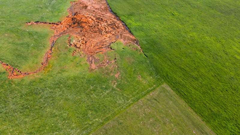 Saiba como diminuir os processos erosivos na propriedade com o uso correto das forrageiras