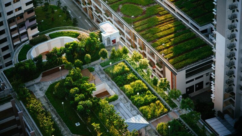 Cidades Sustentáveis: O Design Transformador