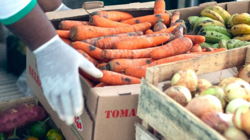 Sesc Mesa Brasil distribui 2,3 toneladas de alimentos diariamente