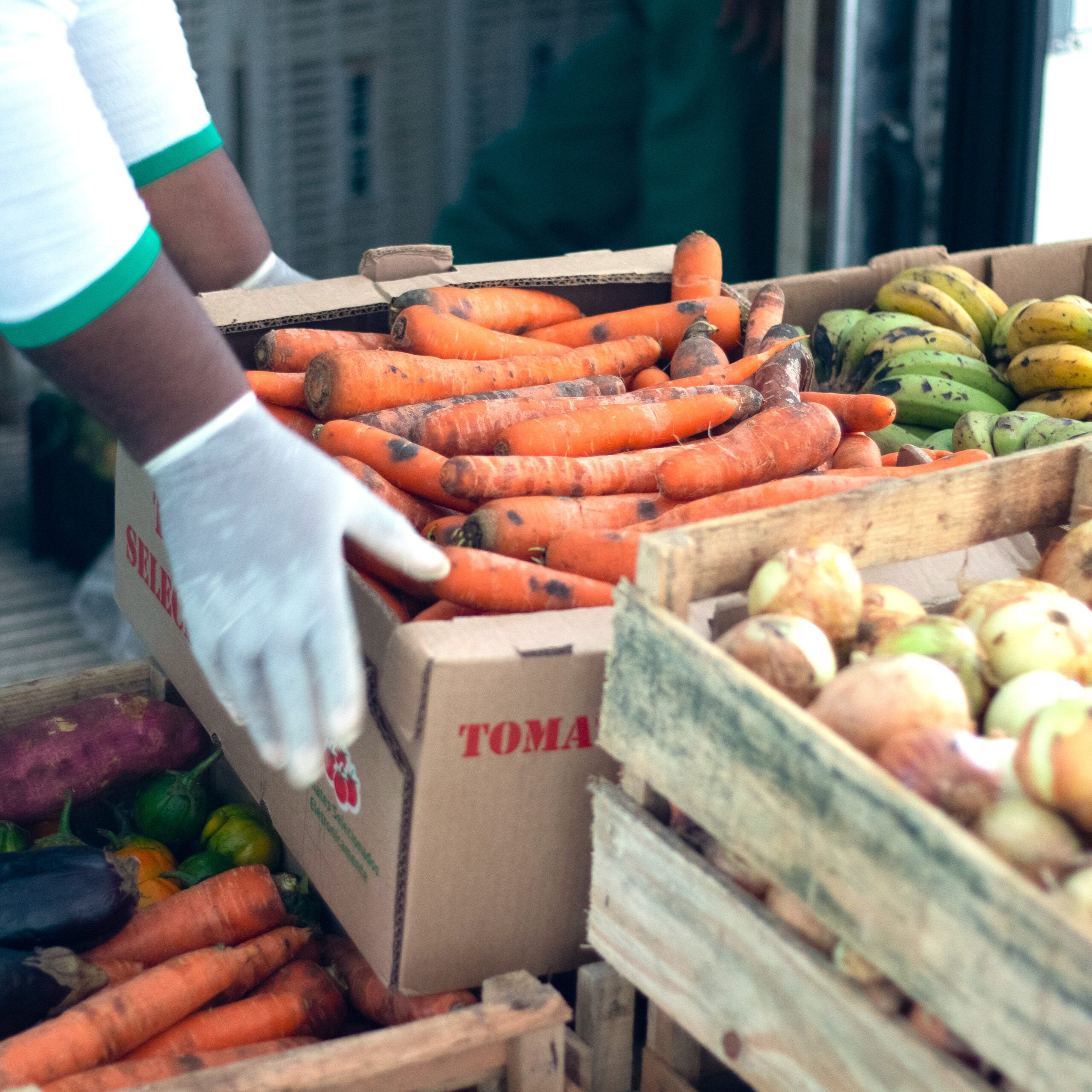 Sesc Mesa Brasil distribui 2,3 toneladas de alimentos diariamente