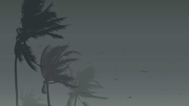 SP tem três mortes após temporal com ventos de mais de 100 km/h