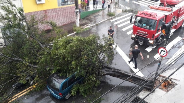 Caos pós-temporal expõe atraso de SP para lidar com eventos climáticos