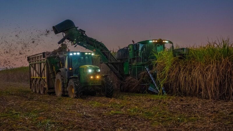 Com planejamento correto, é possível evitar erros na reforma do canavial
