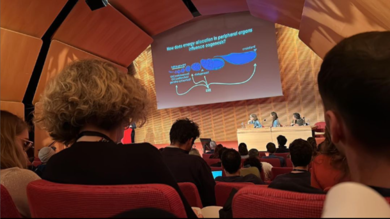 Pesquisadores da UFMT levam trabalhos para evento na França