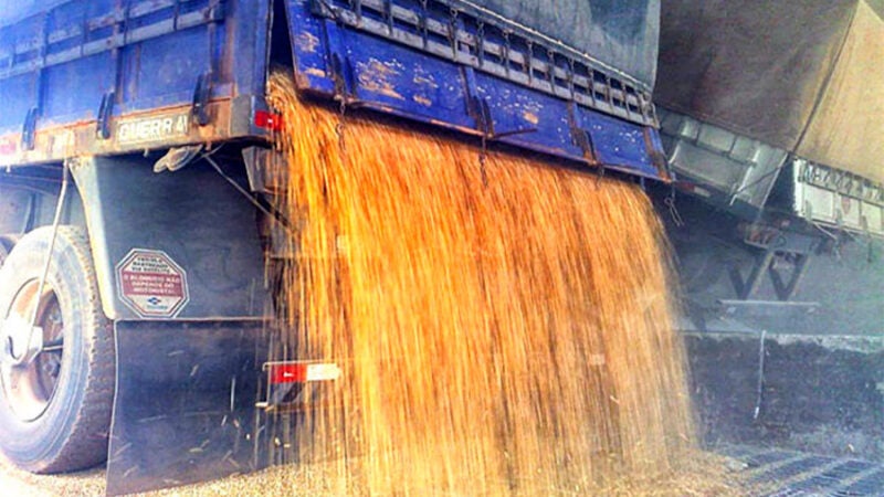 Venda de milho disponível em Mato Grosso sobe e preço de novembro cai