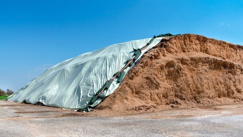 Lonas de armazenamento garantem qualidade para a silagem de capim