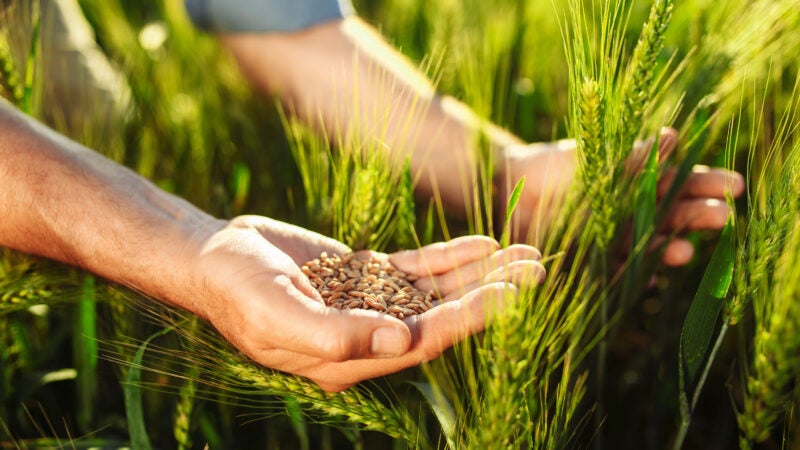 Empresa de vendas de diretas quer levar fertilizante organomineral até a porteira do agricultor
