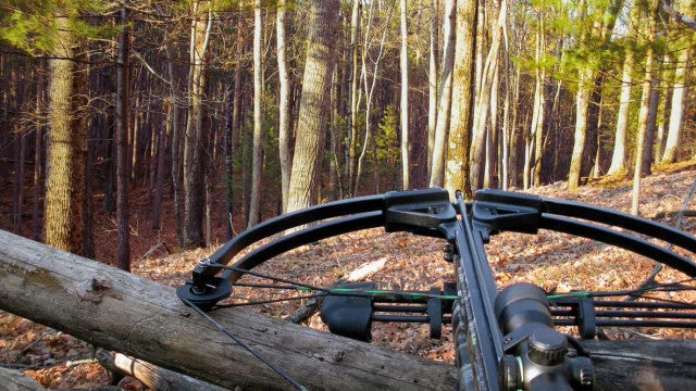 Homem atinge meio-irmão com besta por causa de bateria do carro