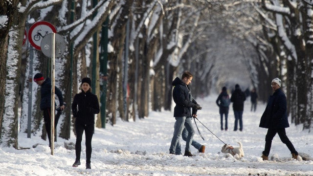 Neve toma conta de vários países da Europa (e trouxe problemas)