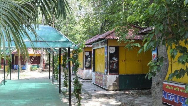 Hipopótamo escapa de jaula e mata funcionário de jardim zoológico