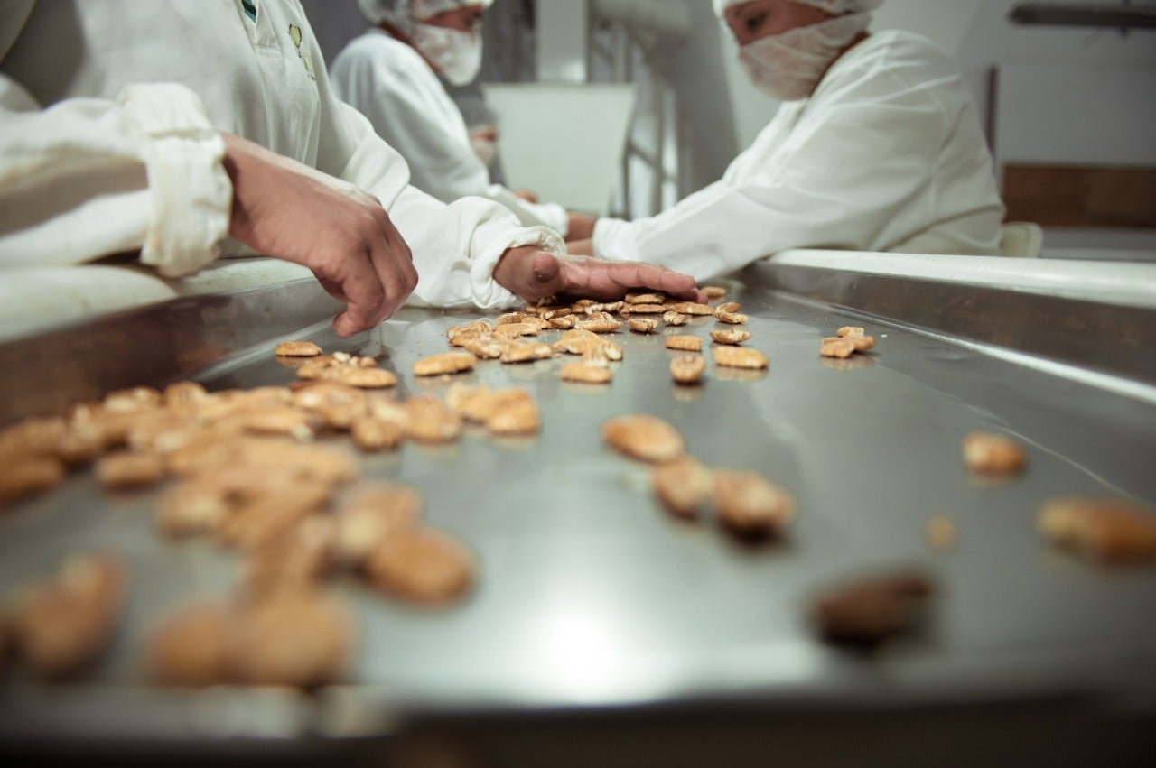 Brasil exporta primeiro lote de noz-pecã descascada para a Arábia Saudita