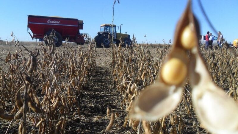 Decretos de emergência ilustram situação climática que pode afetar a capacidade de pagamento de diversos produtores