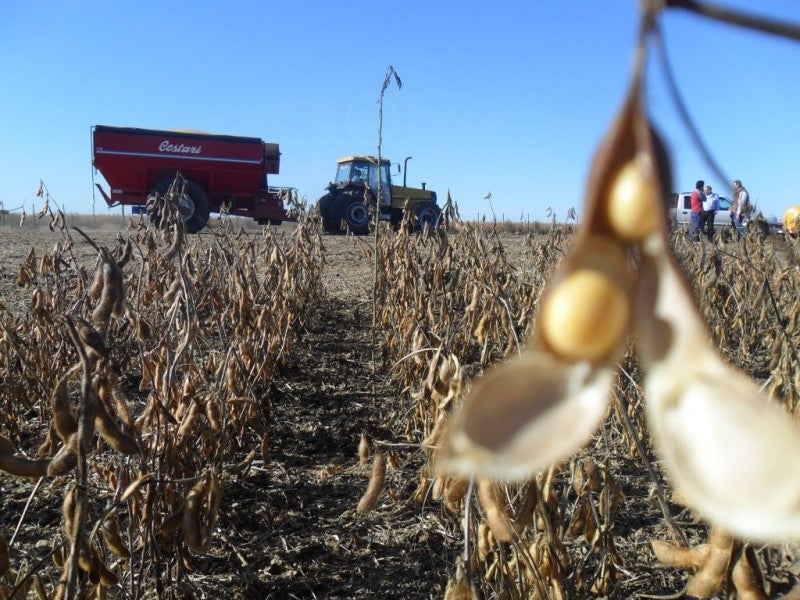 Decretos de emergência ilustram situação climática que pode afetar a capacidade de pagamento de diversos produtores