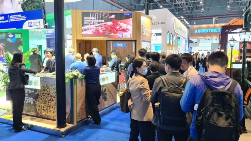 Egito e Emirados Árabes Unidos aumentam a compra de carne bovina mato-grossense