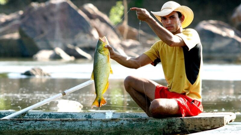 Governador propõe hoje ao STF manter proibição do transporte de 14 espécies de peixes; 100 ficariam liberadas em Mato Grosso
