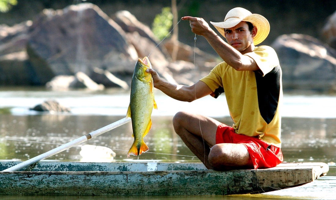 Governador propõe hoje ao STF manter proibição do transporte de 14 espécies de peixes; 100 ficariam liberadas em Mato Grosso