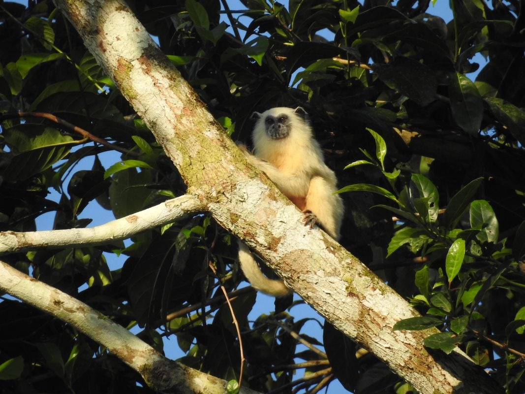 Reserva ambiental pode gerar renda ao produtor rural