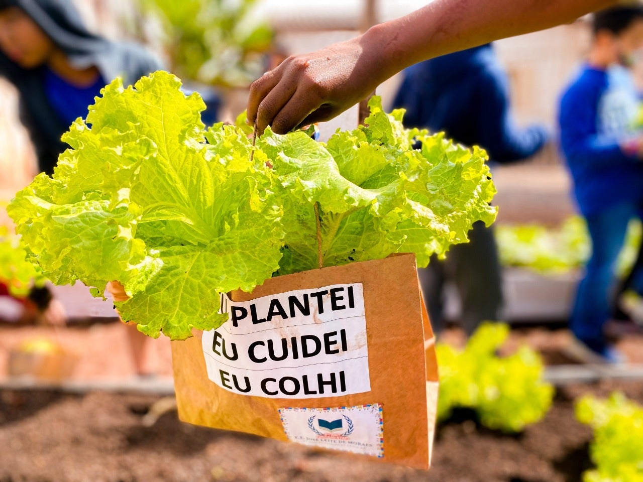 Projeto Hortas Escolares será implantado em 300 escolas de MT; Sinop, Sorriso e outras cidades do Nortão contempladas