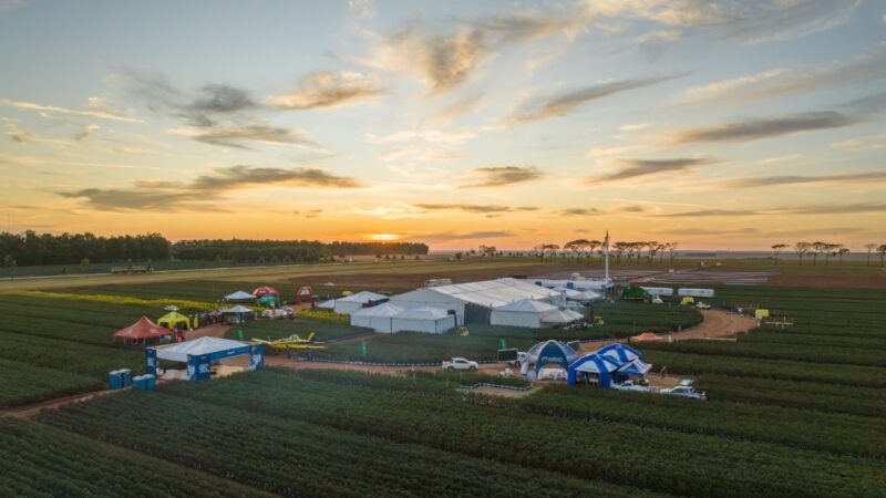 G.A.Tec Soja 2024 contribui com as escolhas do sojicultor