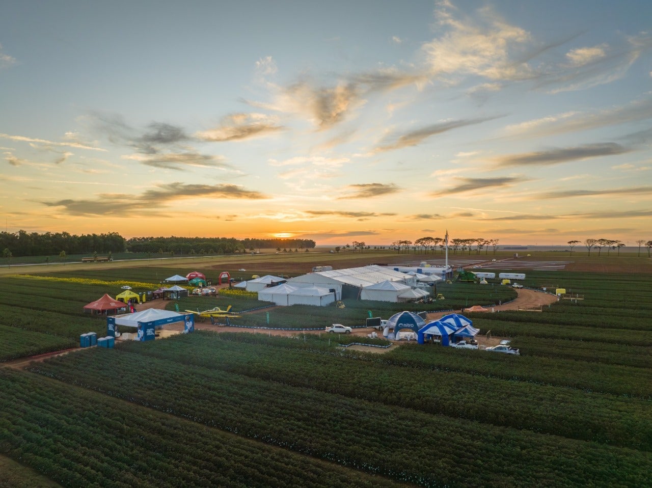 G.A.Tec Soja 2024 contribui com as escolhas do sojicultor