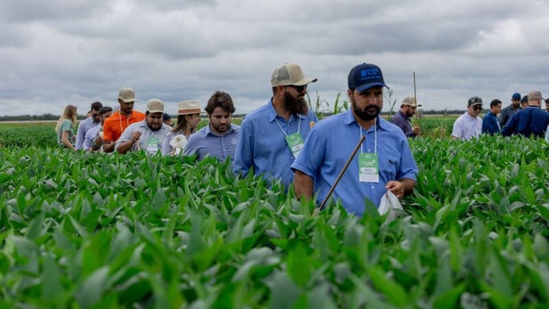 Agricultores saem satisfeitos com conteúdo do Open Sky Soja 2024