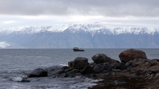 Vírus ‘zombies’ congelados na Sibéria podem causar novas pandemias