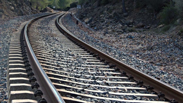 Gato de estimação morre de frio após ser atirado de um trem na Rússia