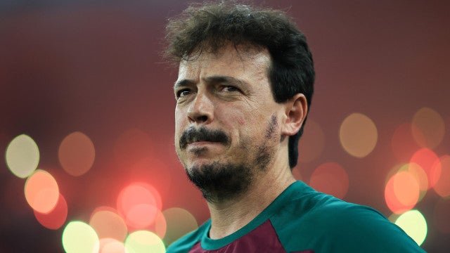 Negativa de Ancelotti abreviou passagem de Diniz na seleção
