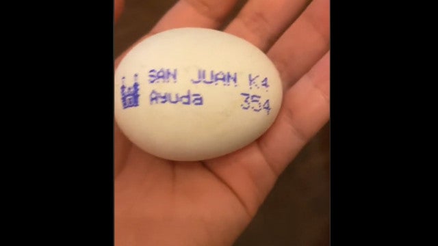 Pedido de "ajuda" em ovo gera reboliço; afinal, era uma mensagem positiva