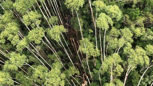 Helicóptero desaparecido é localizado em região de mata em Paraibuna (SP)