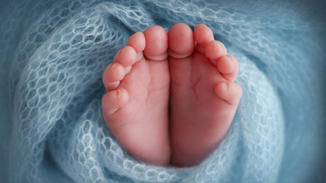 Mulher dá à luz e filho mais novo joga recém-nascido no lixo