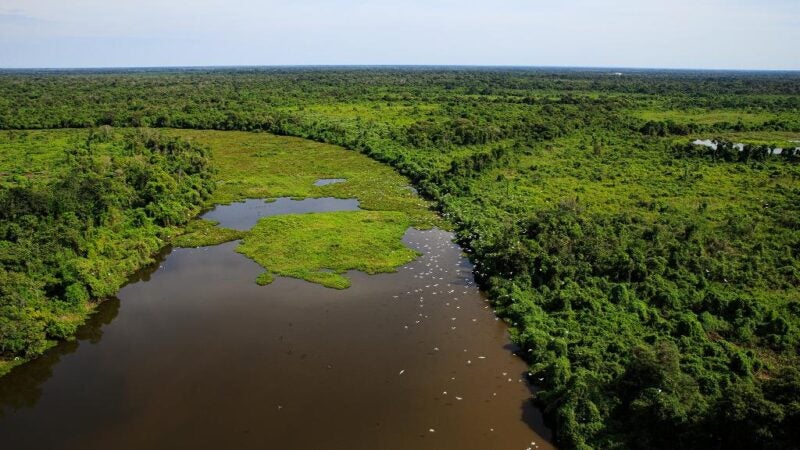 Secretarias de Mato Grosso e MS desenvolverão plano integrado de combate a incêndios no Pantanal