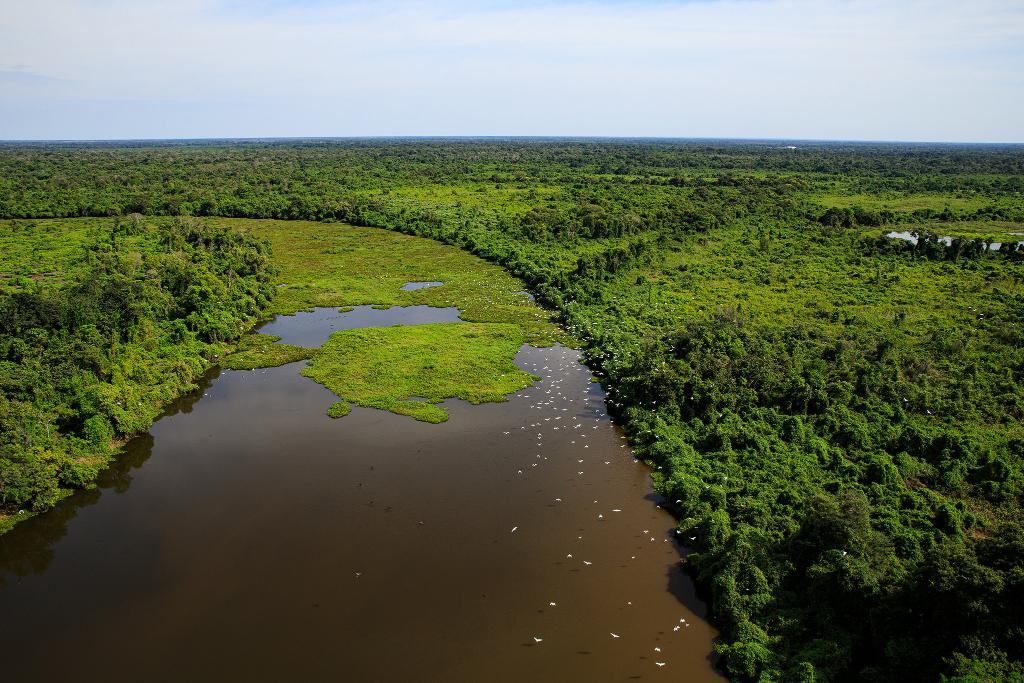 Secretarias de Mato Grosso e MS desenvolverão plano integrado de combate a incêndios no Pantanal