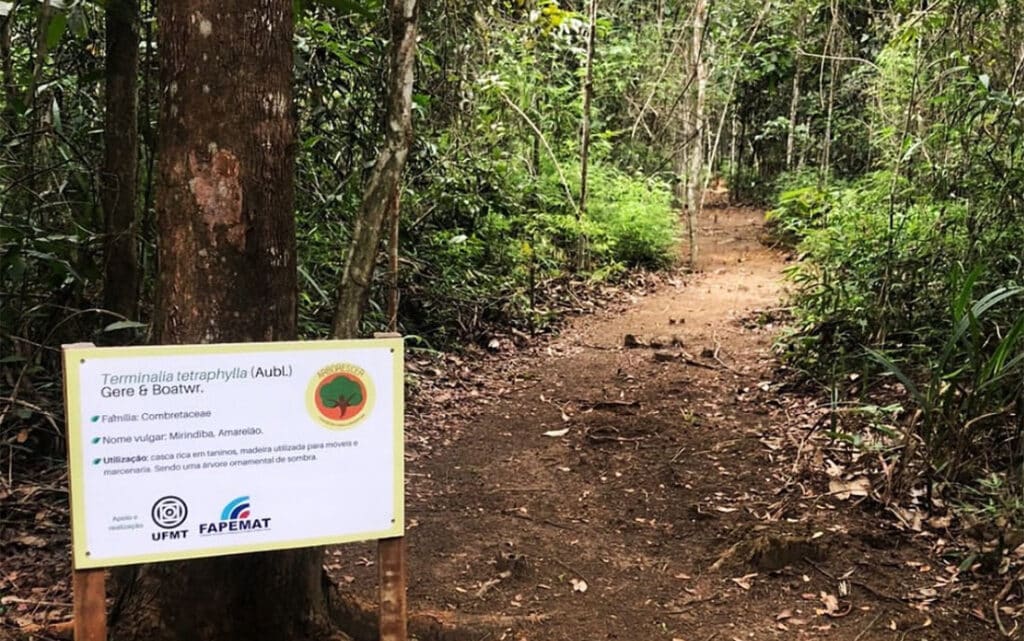 Sinop: professores e alunos da UFMT atuam em manejo e preservação de ‘matinha’ em campus