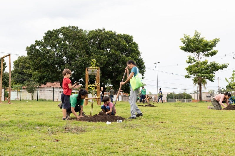 Cuiabá Cidade Verde: REM MT, SEMA e Projeto Verde Novo plantam mudas de árvores em busca de devolver esse título para Capital