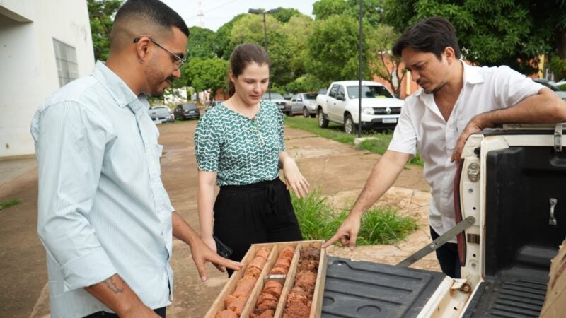 Coogavepe fortalece mineração com doação de Testemunhos de sondagem à UFMT avaliado em R$ 35 mil