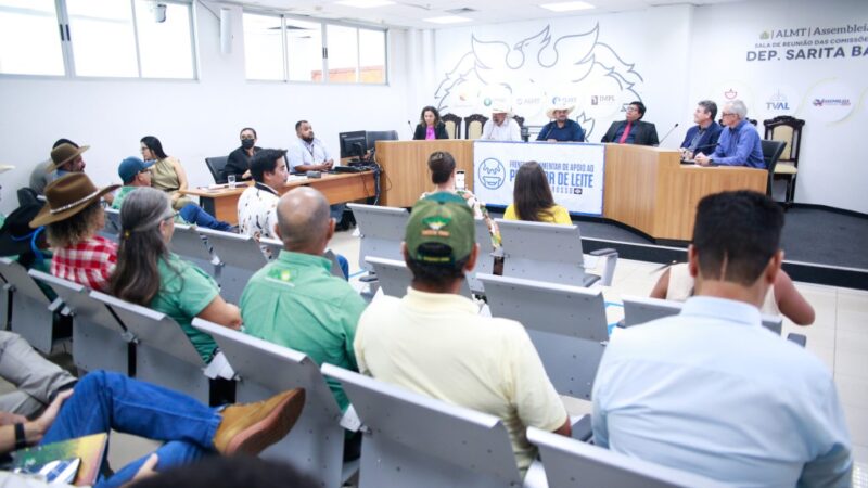 Frente parlamentar busca cumprimento de regras para discriminação de similares de produtos lácteos feitos com queijo e leite