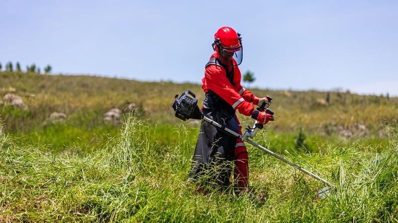 Branco Motores lança roçadeiras Elite no Show Rural Coopavel 2024