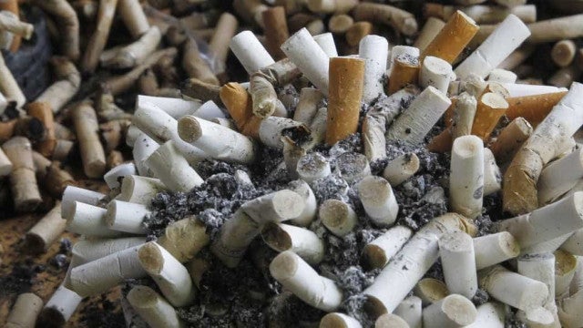 Cachorro de Rubinho Barrichello morre após comer onze bitucas de cigarro