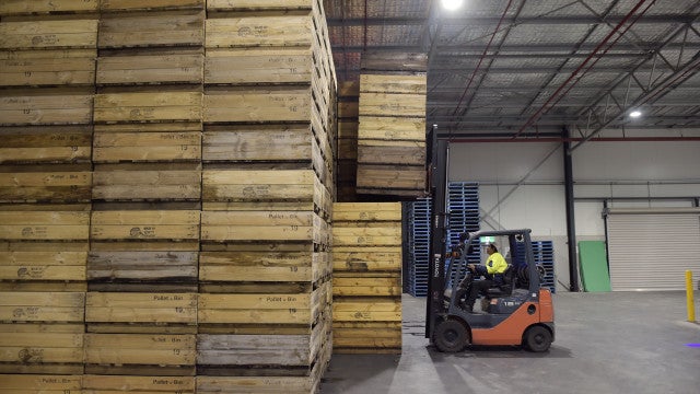 Visitas a fábricas e sedes administrativas viram arma de reputação para empresas