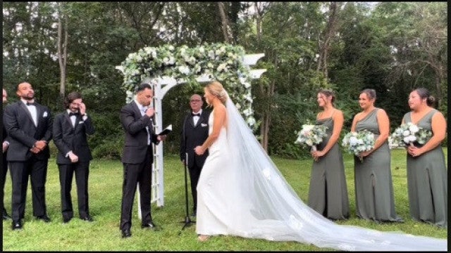 Gato interrompe casamento nos EUA e é adotado pelos noivos; veja