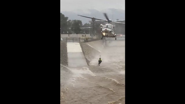 Bombeiros resgatam homem que pulou em rio para salvar seu cão; veja