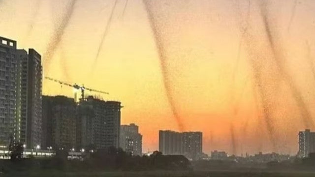 Enxame de mosquitos aterroriza população em Pune, na Índia; veja o vídeo