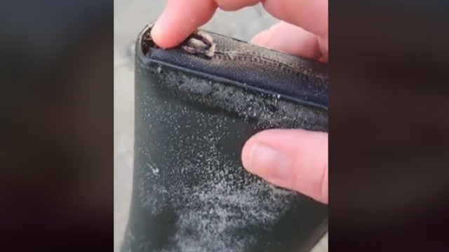 Mulher encontra a própria carteira perdida há 8 meses no mar