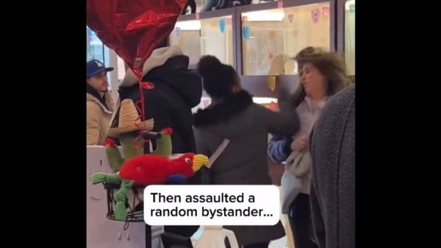 Mulher chuta gaiolas em loja de animais e agride turista; veja o vídeo