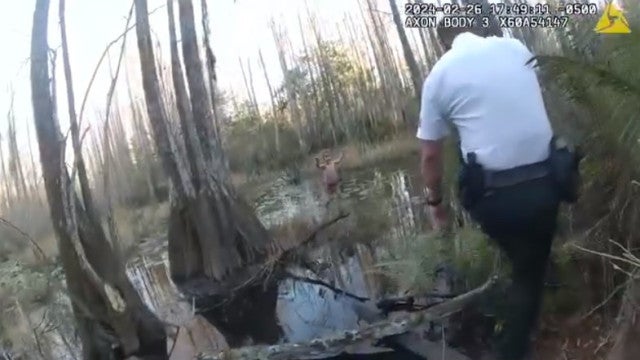 Menina autista de 5 anos é resgatada em "milagre" na Flórida; veja