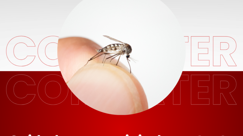 Cuidados essenciais da gestante com dengue: Protegendo a saúde materna e fetal