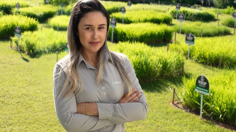 Semeando igualdade: jornada das mulheres no agronegócio