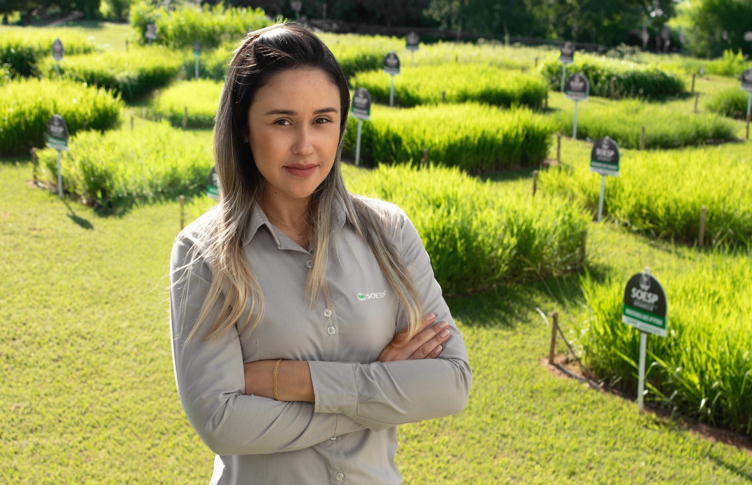 Semeando igualdade: jornada das mulheres no agronegócio